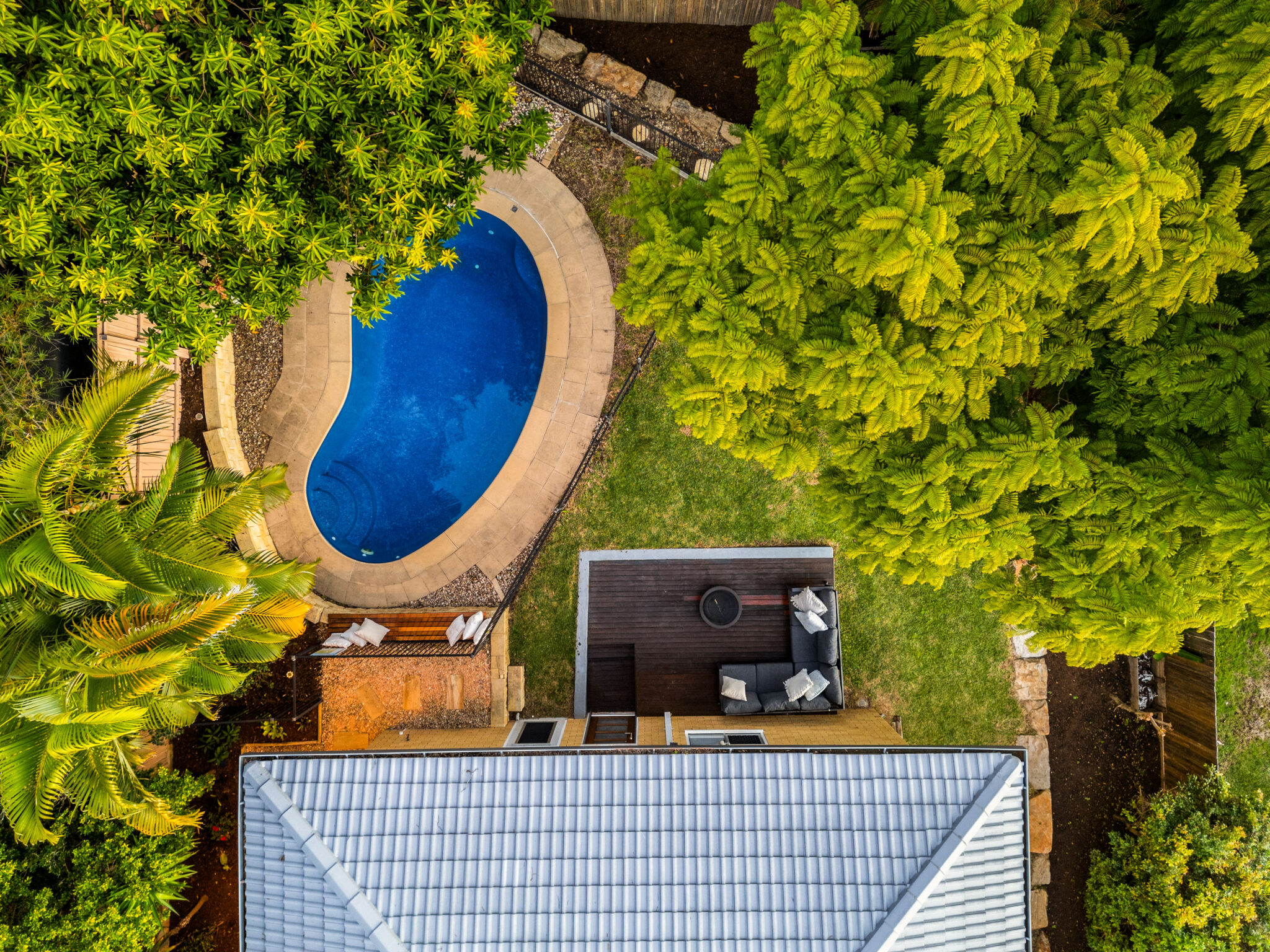 trees around a house