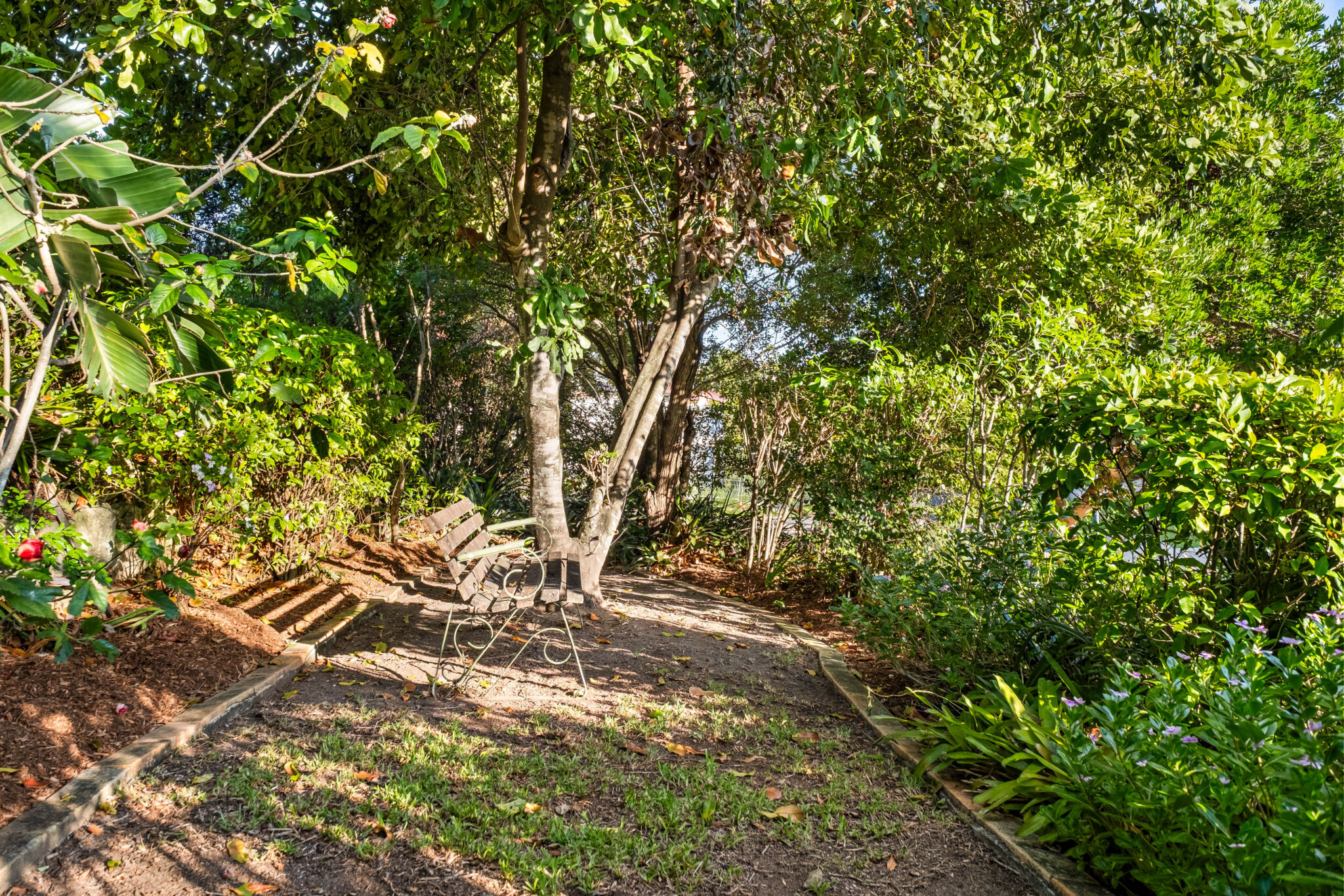 L37958833-ALBANY-CREEK-23