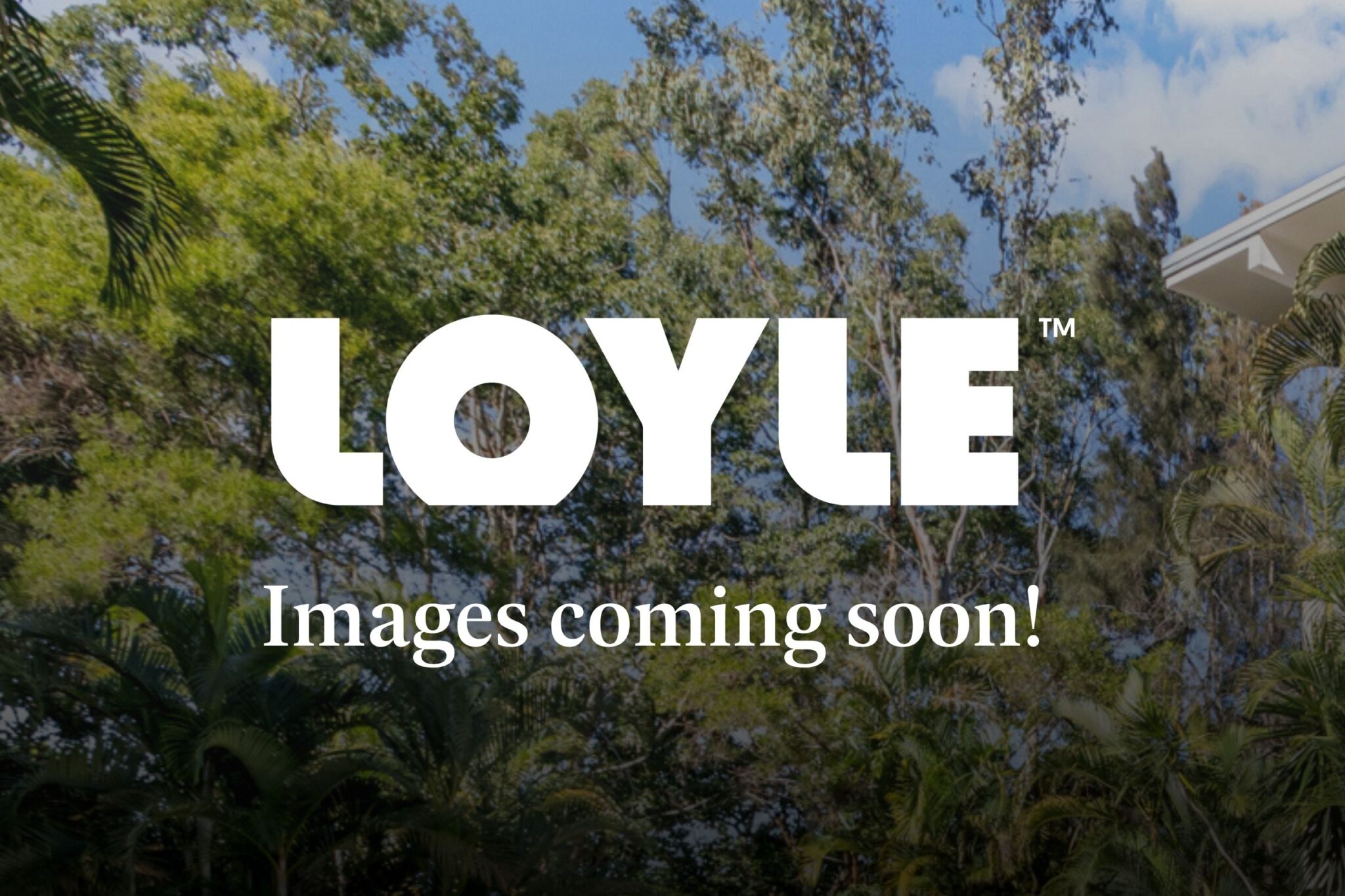 L41343792-ASHGROVE
